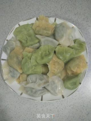 Spinach and Chicken Breast Dumplings recipe