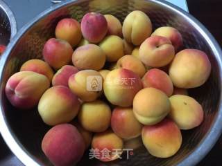 #aca烤明星大赛#apricot Jam recipe