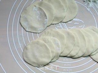 Fennel Pork Dumplings recipe