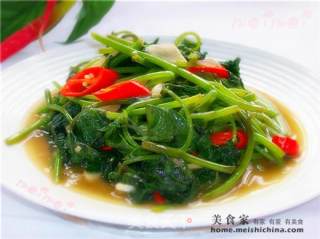 Home Cooking @@长寿菜~~ Stir-fried Sweet Potato Leaves recipe
