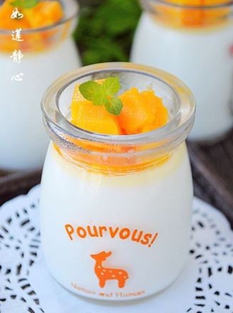 Homemade Yogurt recipe