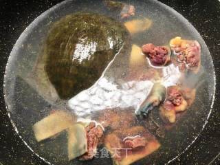 Braised Turtle Soup recipe