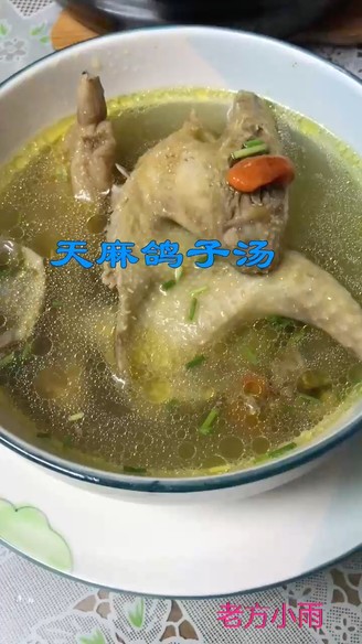 Gastrodia Pigeon Soup recipe