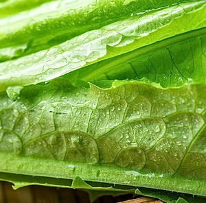 Reduced Fat and Refreshing Lettuce recipe