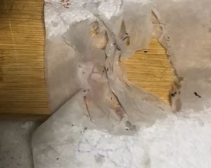 [fillet Fish] [butterfly Slices] Boiled Fish, Pickled Cabbage, Fish Fillet Tutorial with Video recipe