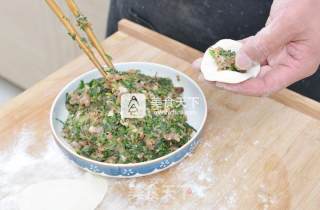 Shepherd's Purse Dumplings with Mushroom Sauce recipe