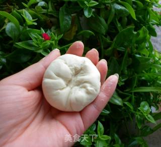 Basic Pasta-steamed Buns recipe