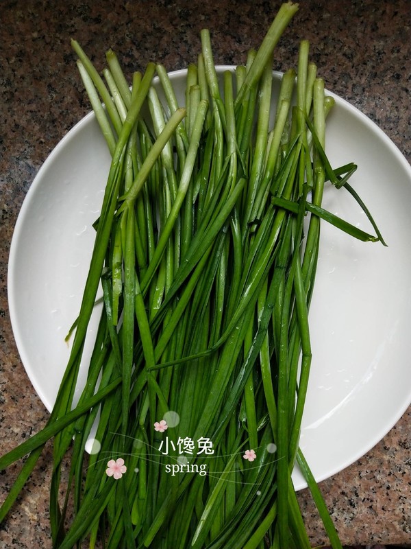 Pork Leek Dumplings recipe