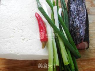 Braised Tofu with Bacon recipe