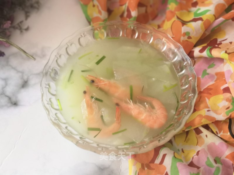 Winter Melon and Shrimp Soup