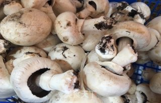 Original | Fitness Reduced Fat Mushroom Shredded Chicken Breast recipe