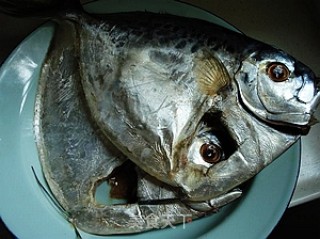 Stewed Pomfret recipe