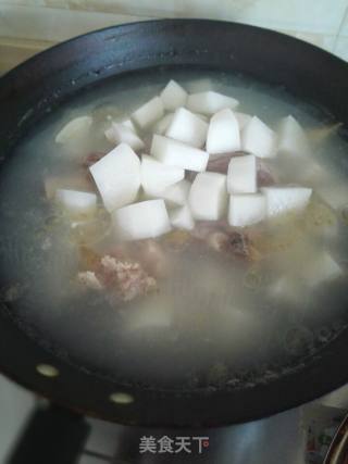 Only When It's Boiled Can It be Nutritious-radish Bone Soup recipe