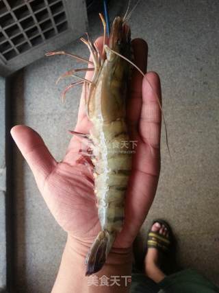 Fried Shrimps recipe