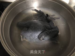 Cold Chicken Shreds recipe