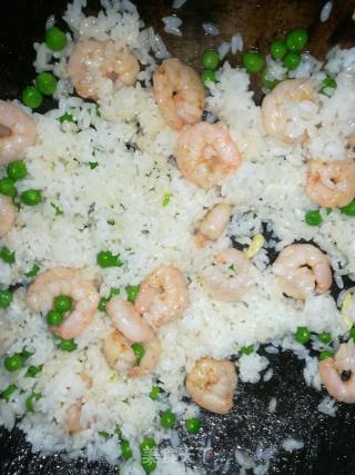 Fried Rice with Shrimp and Egg recipe