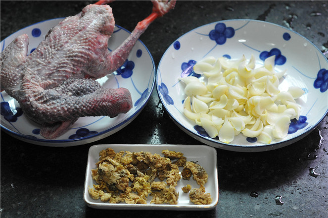 Steamed Pigeon with Chrysanthemum Lily recipe