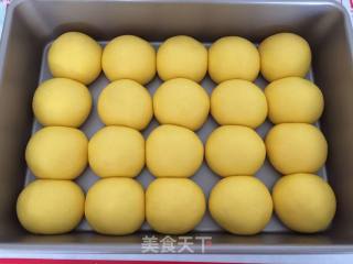 Pumpkin Meal Buns recipe