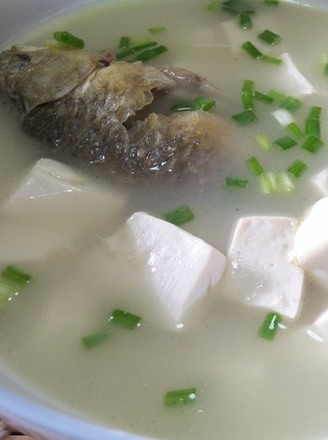 Crucian Tofu Soup recipe