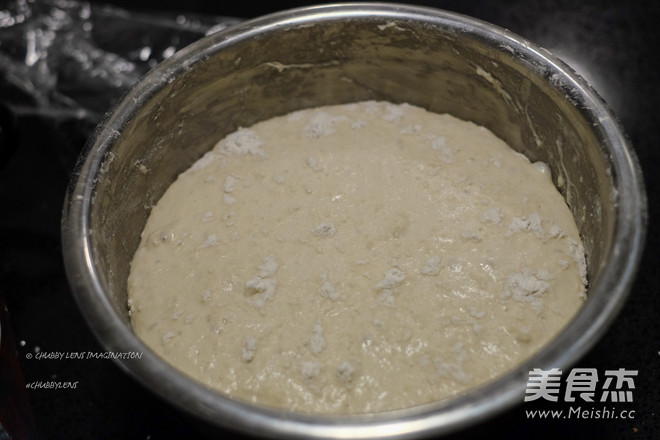 Sea Salt Garlic Polish Country Bread-no Bread Machine recipe