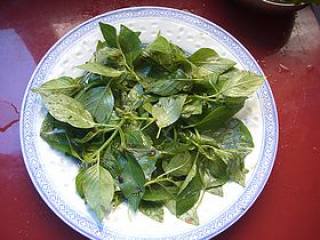 Kelp Salad recipe