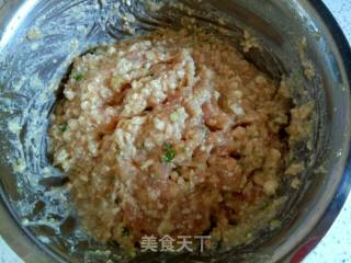 Braised Chicken Tofu Meatballs recipe