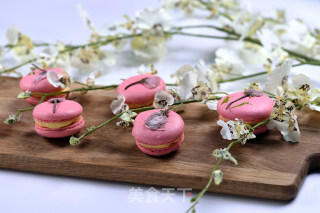 Sakura Macaron Depp Baking Lab recipe