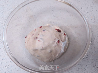 Rich and Rich Taste~【whole Wheat Cranberry Cheese Soft European】 recipe