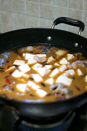 Catfish Tofu Hot Pot recipe