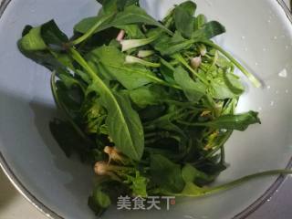 Three-color Spinach Soup recipe