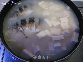 Crucian Tofu Soup recipe