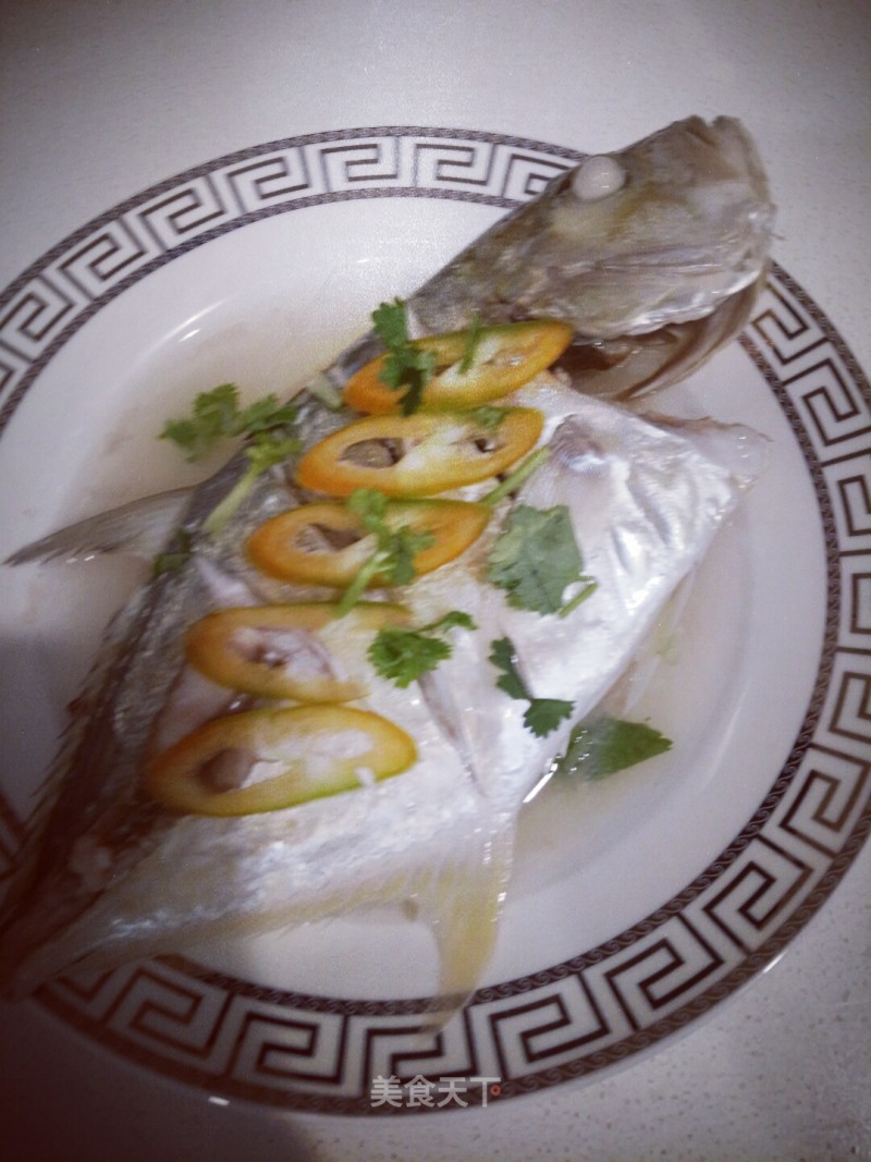 Steamed White Fish