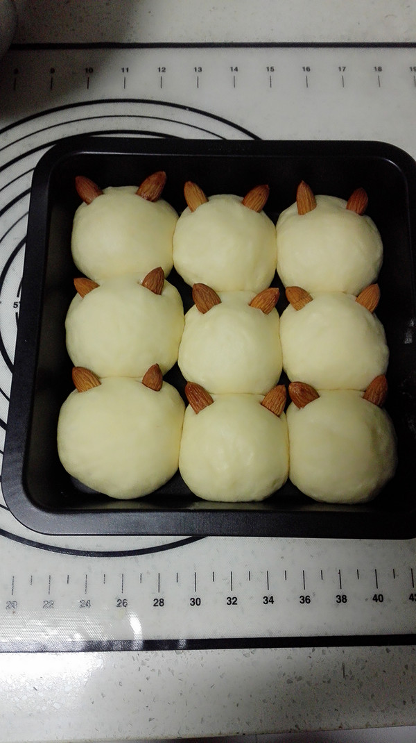 Kitten Squeezes Bread recipe