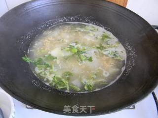 Winter Melon and Shrimp Soup recipe