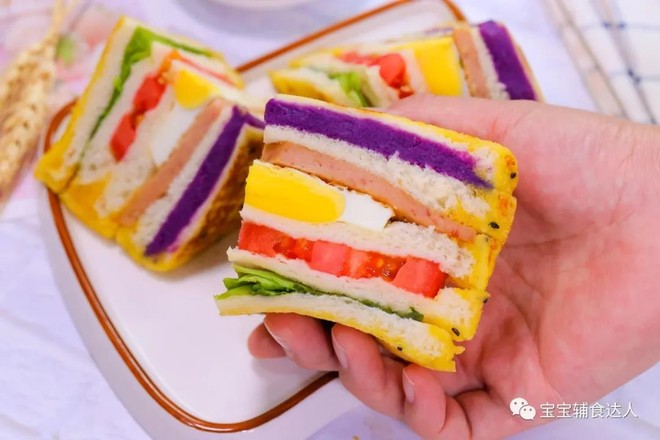 Colorful Sandwich Baby Food Recipe recipe