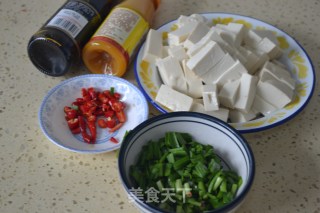 Braised Tofu with Leek recipe