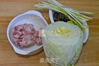 Cabbage Bag recipe