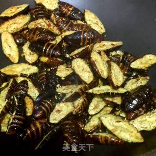 Dried Cumin Cicada Pupa recipe