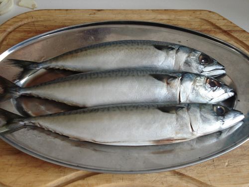 Braised Mackerel in Soy Sauce recipe