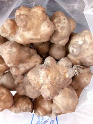 Raw Pickled Jerusalem Artichoke recipe