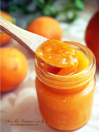 Drooling Sweet Apricot Jam recipe