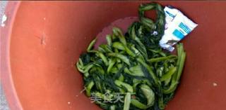 Homemade Method of Dried Plum recipe