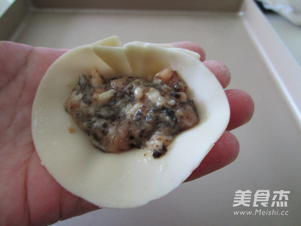 Black Fungus and Fresh Meat Potstickers recipe