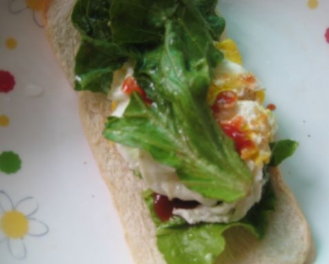 Homemade Burger recipe