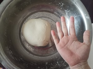 Delicious and Juicy Meat Buns and Steamed Buns [steps are Super Detailed] recipe