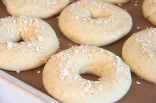 Whole Wheat Bagels recipe