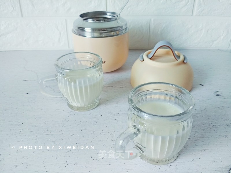 Homemade Yogurt in A Stew Pot recipe