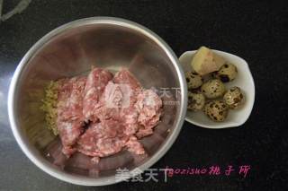 Roasted Eichhornia Meatballs recipe
