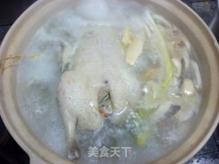 Pleurotus Eryngii Wonton Mochi Duck Pot recipe
