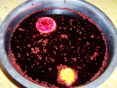 Mulberry Juice recipe